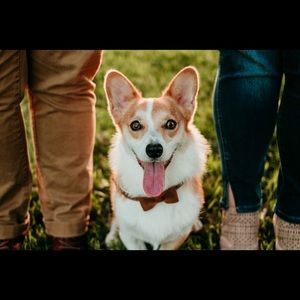 Meet your Posher, Chandler